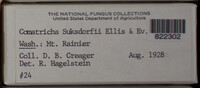 Image Associated With the Occurence